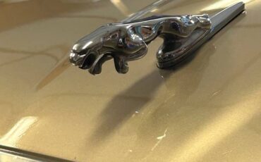 Jaguar-xj6-1995-brown-12