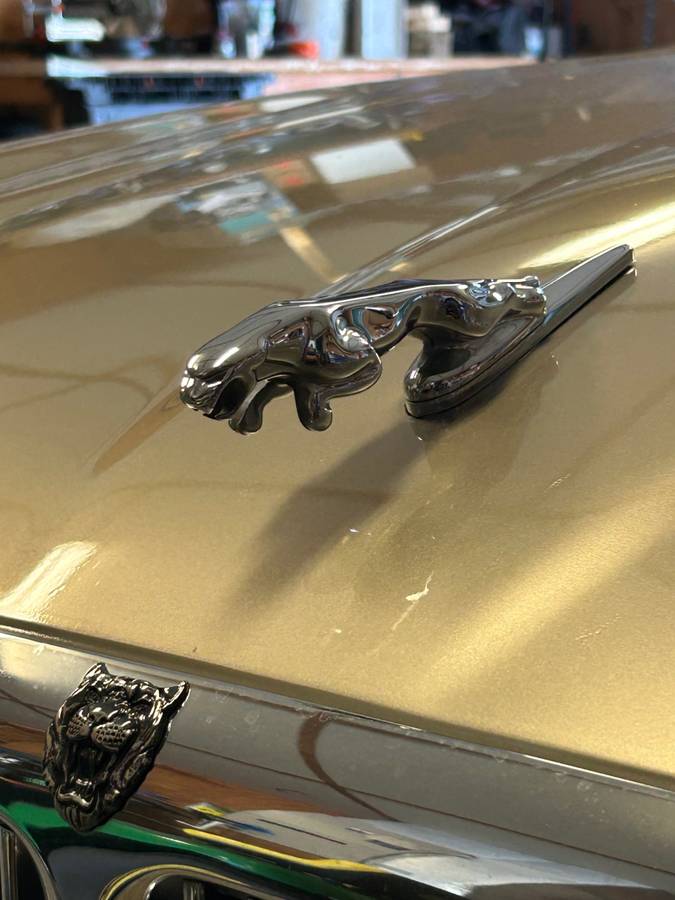 Jaguar-xj6-1995-brown-12
