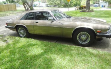 Jaguar-xjs-1988-brown-1