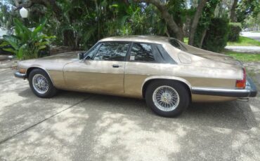Jaguar-xjs-1988-brown
