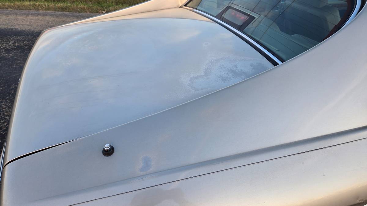 Jaguar-xjs-1994-custom-10