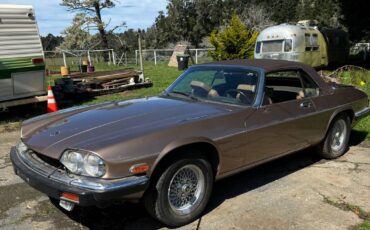 Jaguar-xjs-convertible-1990-brown-1