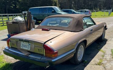Jaguar-xjs-convertible-1990-brown-2