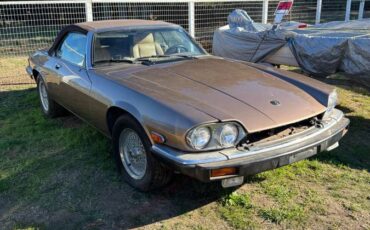 Jaguar-xjs-convertible-1990-brown-7