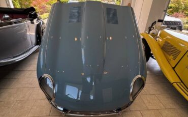 Jaguar-xke-1965-12