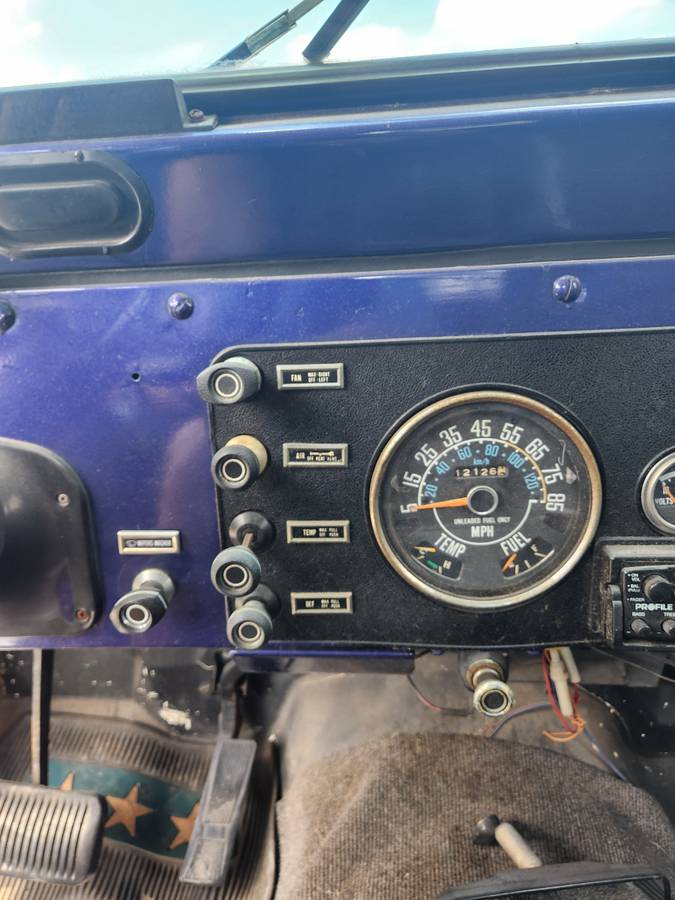 Jeep-1980-purple-5