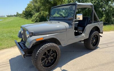 Jeep CJ 1974 Other