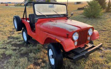 Jeep-CJ-5-Renegade-survivor-CJ-AMC-perfect-patina-1973-2