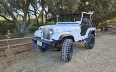 Jeep-Cj-5-1972-White-Black-29