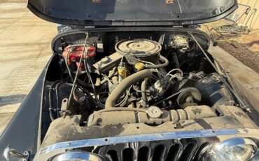 Jeep-Cj-5-1976-Gray-Gray-10