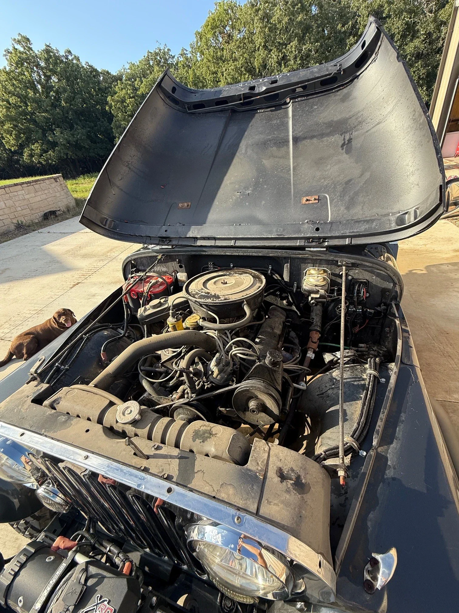 Jeep-Cj-5-1976-Gray-Gray-11