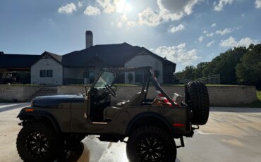 Jeep-Cj-5-1976-Gray-Gray