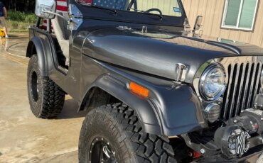 Jeep-Cj-5-1976-Gray-Gray-17