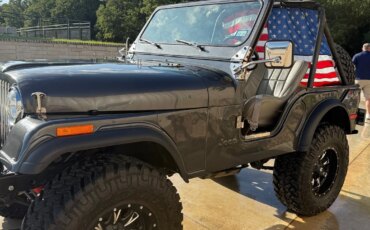 Jeep-Cj-5-1976-Gray-Gray-24