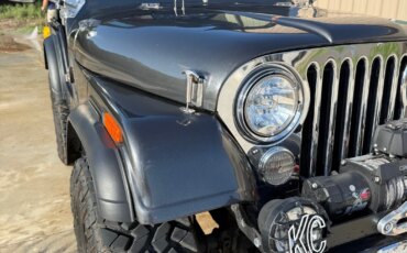 Jeep-Cj-5-1976-Gray-Gray-28