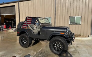 Jeep-Cj-5-1976-Gray-Gray-8