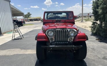 Jeep-Cj-5-1980-Burgundy-Black-12