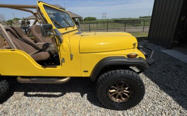 Jeep-Cj-6-1959-Tan-Tan-24