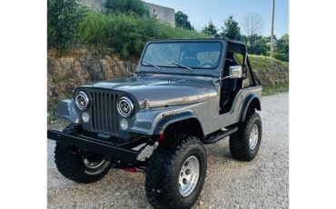 Jeep-Cj5-1979-Grey-Black-22