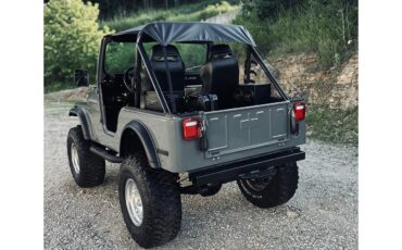 Jeep-Cj5-1979-Grey-Black-23