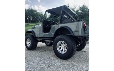 Jeep-Cj5-1979-Grey-Black-24
