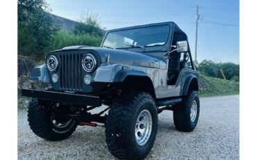 Jeep-Cj5-1979-Grey-Black
