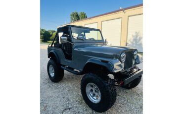 Jeep-Cj5-1979-Grey-Black-4