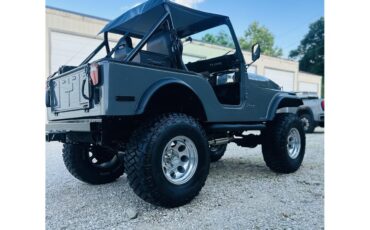 Jeep-Cj5-1979-Grey-Black-5