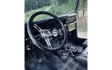 Jeep-Cj5-1979-Grey-Black-7