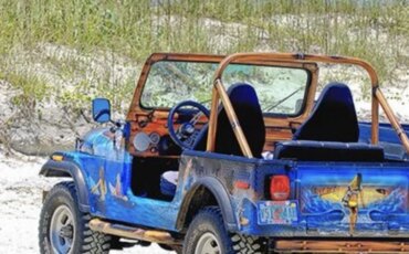 Jeep-Custom-1977-Blue-Black-2