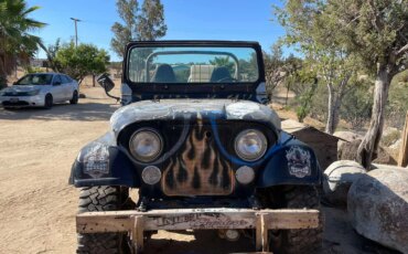 Jeep-Custom-1977-Blue-Black-8