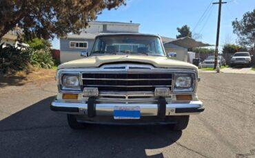 Jeep-Grand-wagoneer-1986-Custom-11