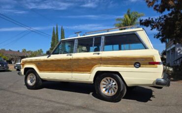 Jeep-Grand-wagoneer-1986-Custom-14