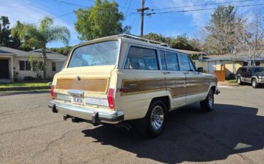 Jeep-Grand-wagoneer-1986-Custom-16
