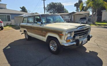 Jeep-Grand-wagoneer-1986-Custom-17