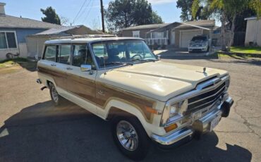 Jeep-Grand-wagoneer-1986-Custom-18