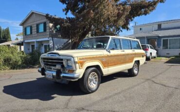 Jeep-Grand-wagoneer-1986-Custom-21