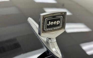 Jeep-Grand-wagoneer-1991-Black-Beige-17