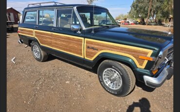 Jeep-Grand-wagoneer-1991-Green-Tan-3