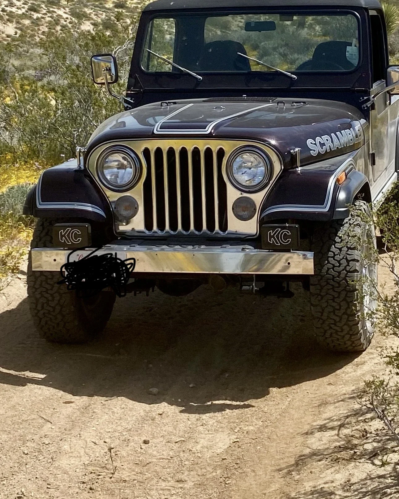 Jeep-Scrambler-1982-Burgundy-Burgundy