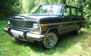 Jeep-Wagoneer-1982-Blue-Blue-5