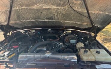 Jeep-Wagoneer-limited-1982-Brown-Tan-7