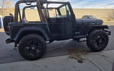 Jeep-Wrangler-1994-Green-Beige-17