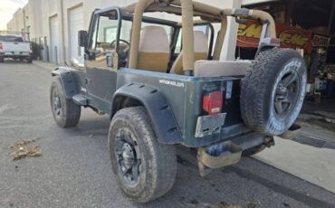 Jeep-Wrangler-1994-Green-Beige-18