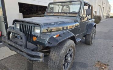 Jeep-Wrangler-1994-Green-Beige-19