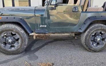 Jeep-Wrangler-1994-Green-Beige