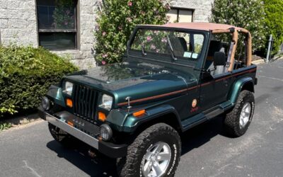 Jeep Wrangler 1994 SUV