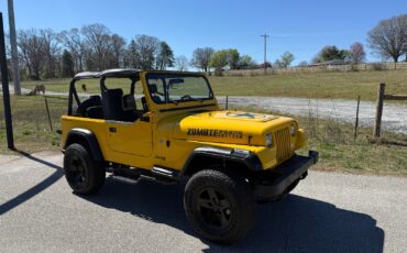 Jeep-Wrangler-1995-SUV-3