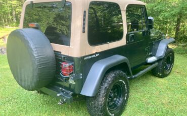 Jeep-Wrangler-1995-SUV-8