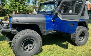 Jeep-Wrangler-4wd-1989-Blue-11